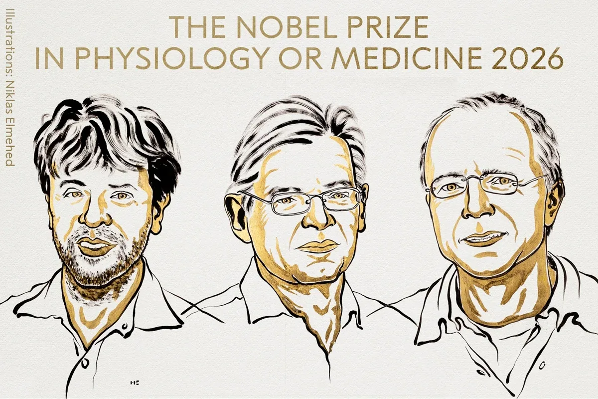 Luz em células nervosas rende Nobel de Fisiologia ou Medicina a três pesquisadores
