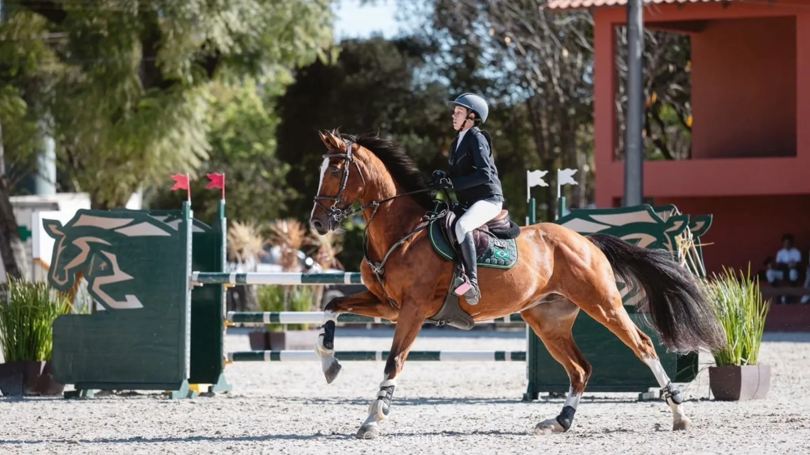 Lara Pacheco se prepara para estreia internacional no hipismo em 2026