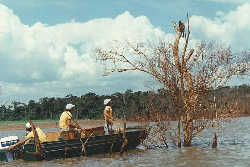 Operação Mymba Kuéra resgatou quase 39 mil animais na construção de Itaipu
