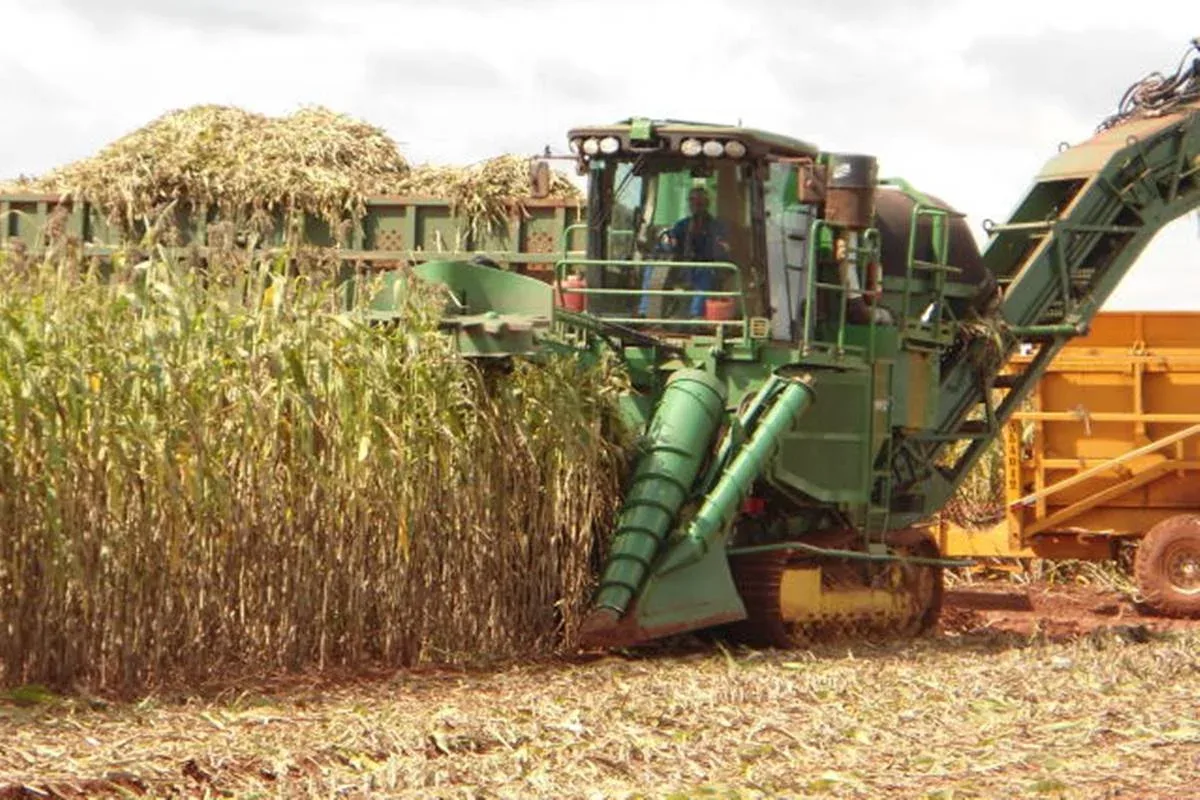 Brasil terá reforço marroquino para reduzir déficit de fertilizantes fosfatados