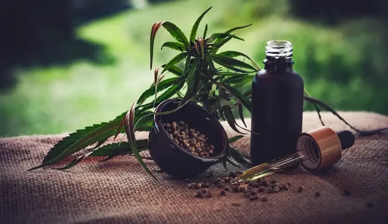 Regras para cannabis medicinal ainda deixam cultivo e fiscalização sem definição