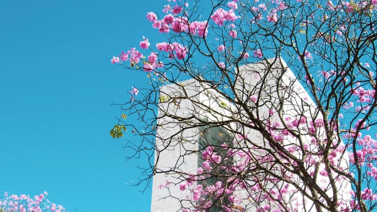 Defesa Civil orienta paulistas sobre temporais e calor na primavera