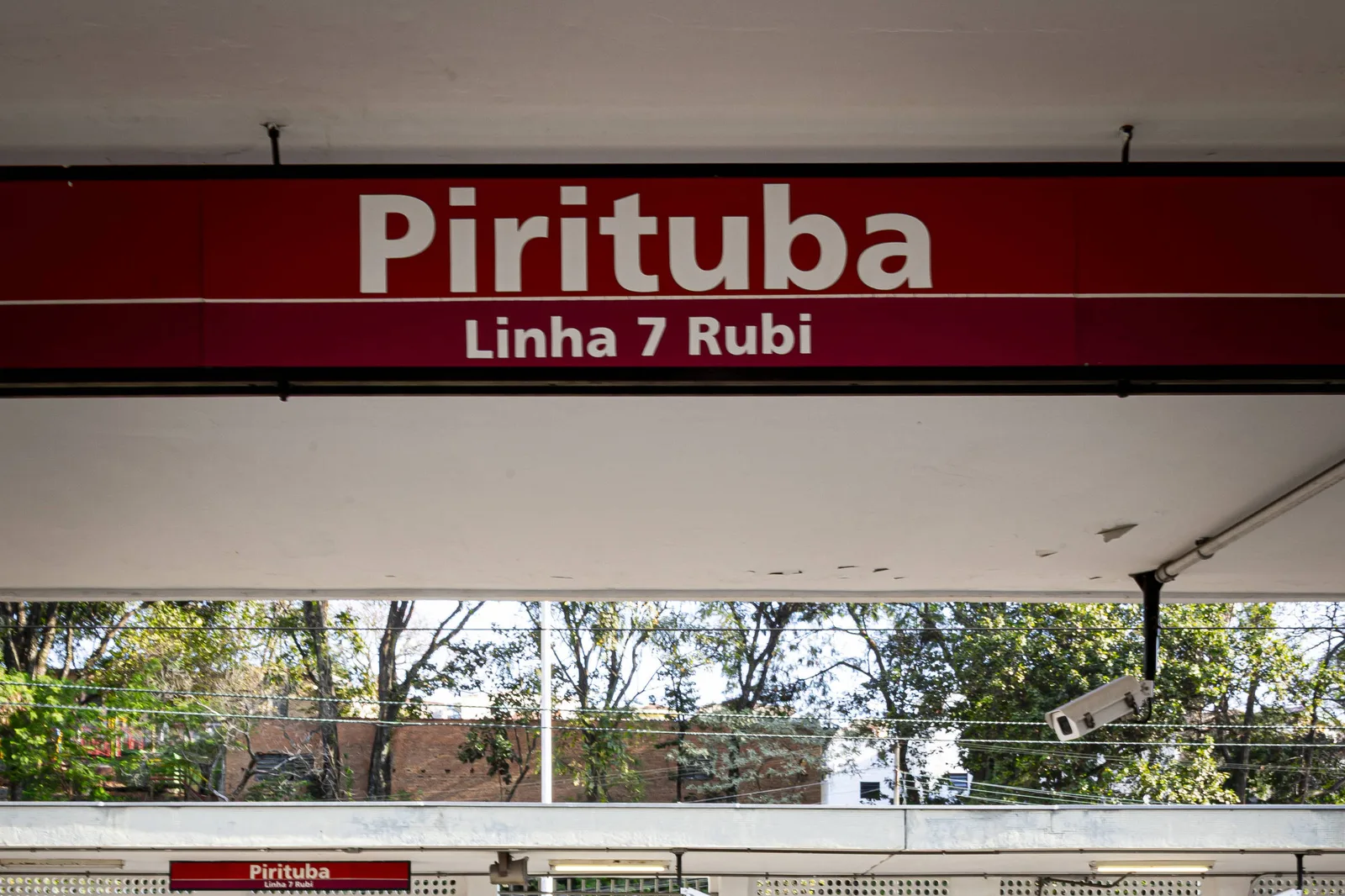 Linha 7-Rubi terá intervalos maiores neste domingo para remoção de árvore