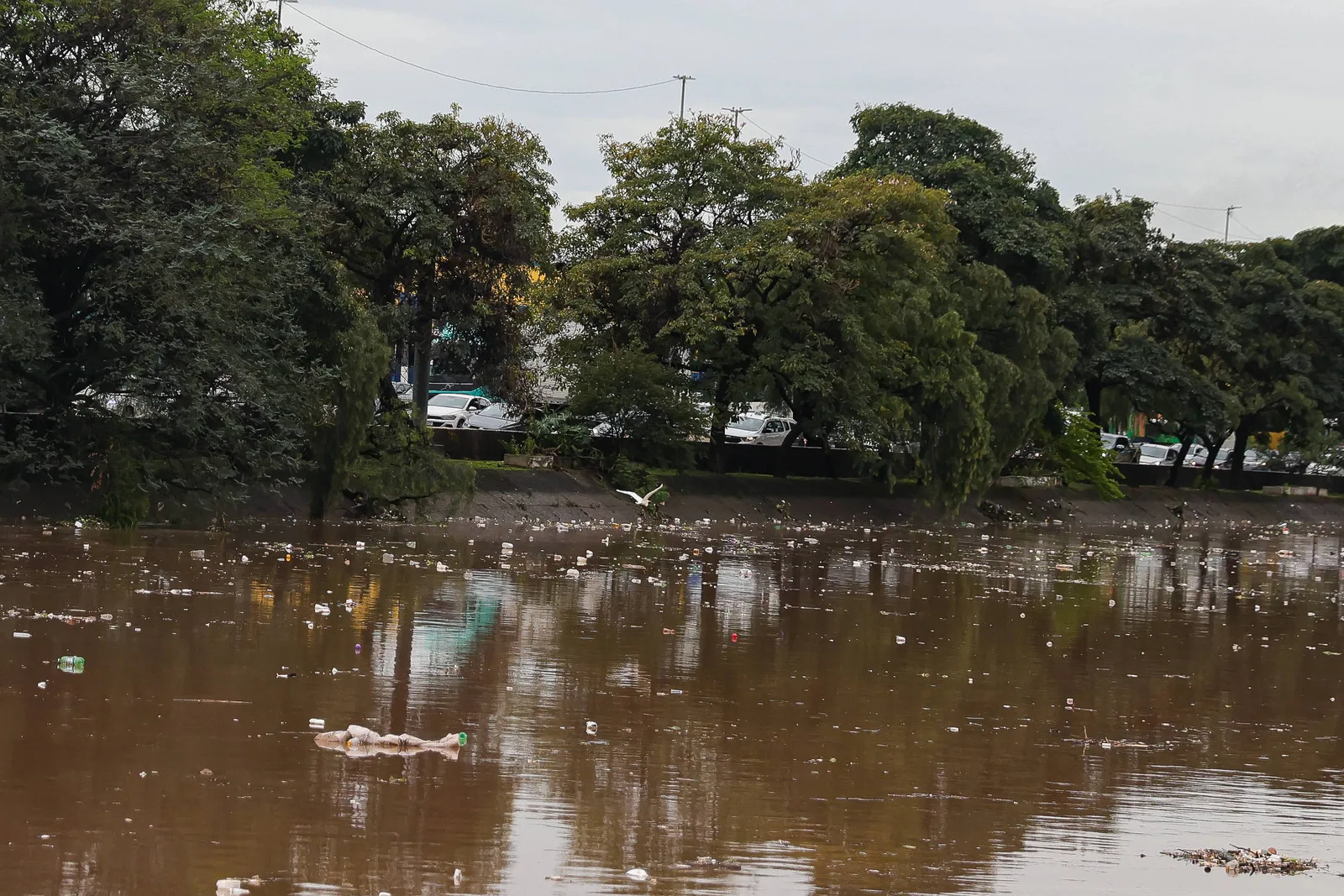 Chuva forte mantém alerta laranja em áreas de São Paulo neste domingo