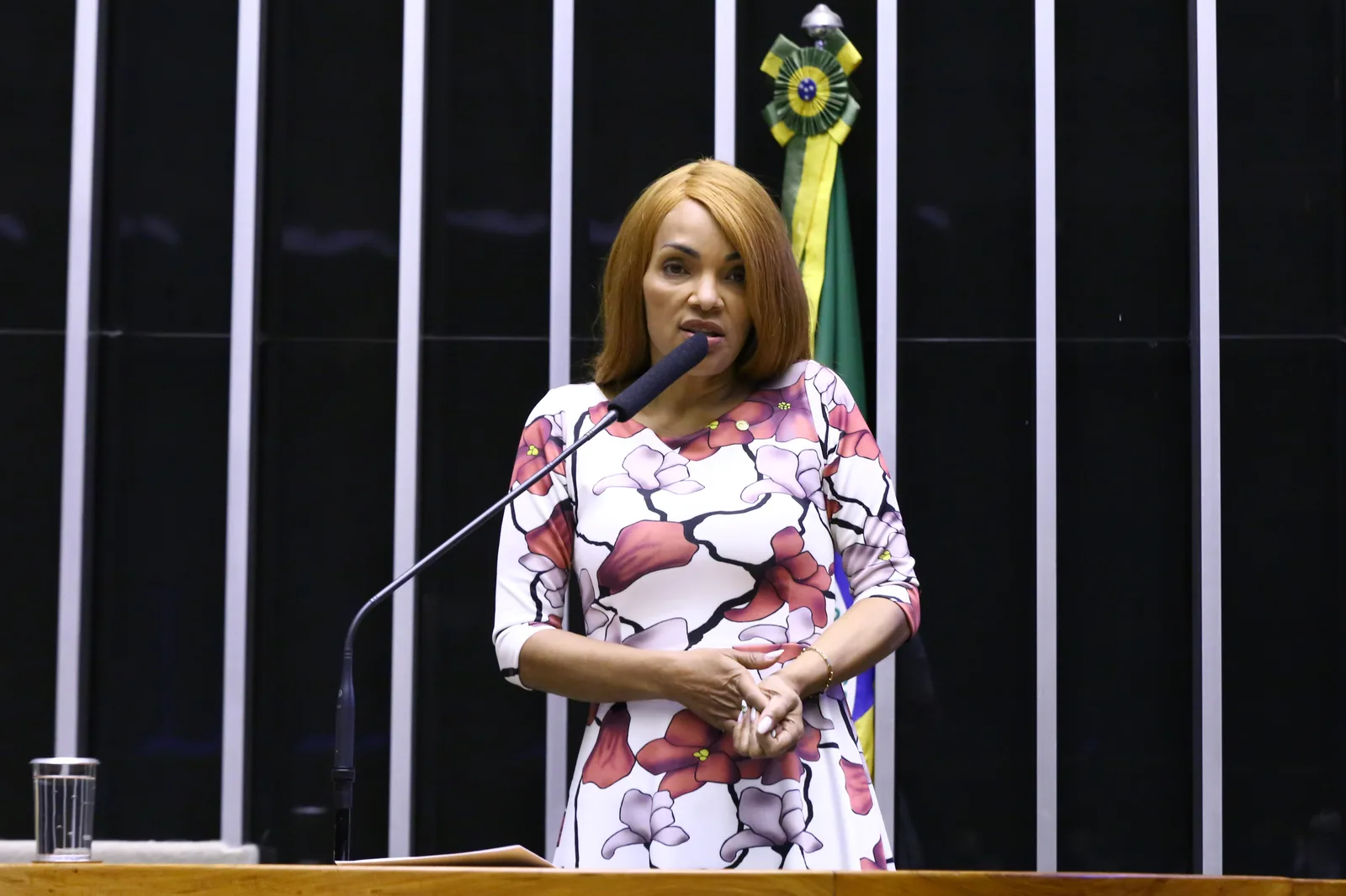 STJ rejeita recurso e mantém pena de 50 anos para Flordelis