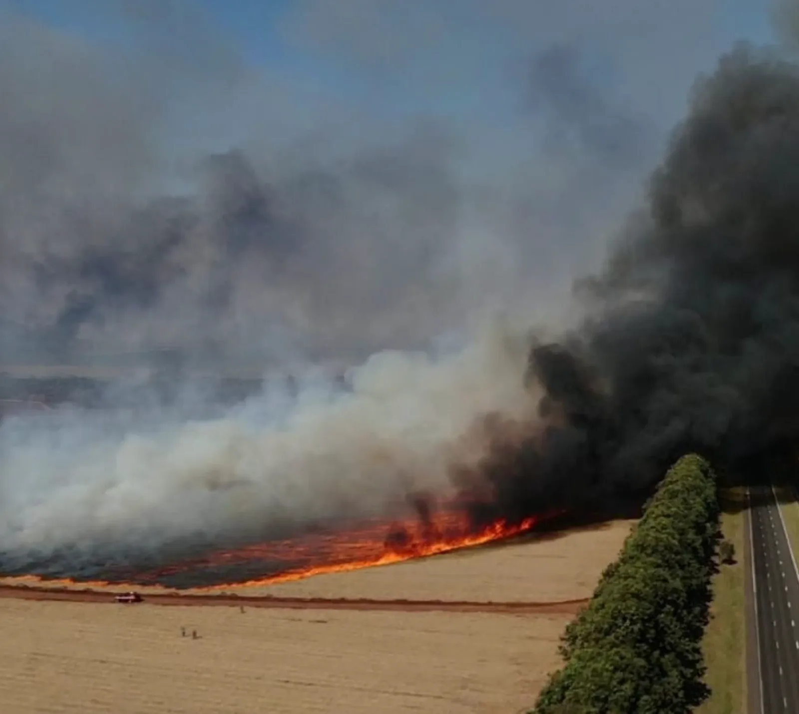 Aceiros exigem medidas diferentes conforme o terreno e o risco de fogo