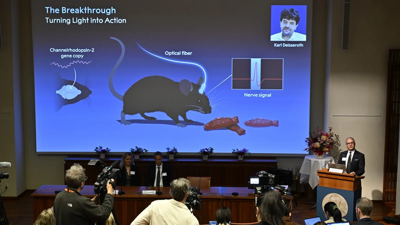 Da alga à optogenética: pesquisa reconhecida pelo Nobel mudou estudo do cérebro