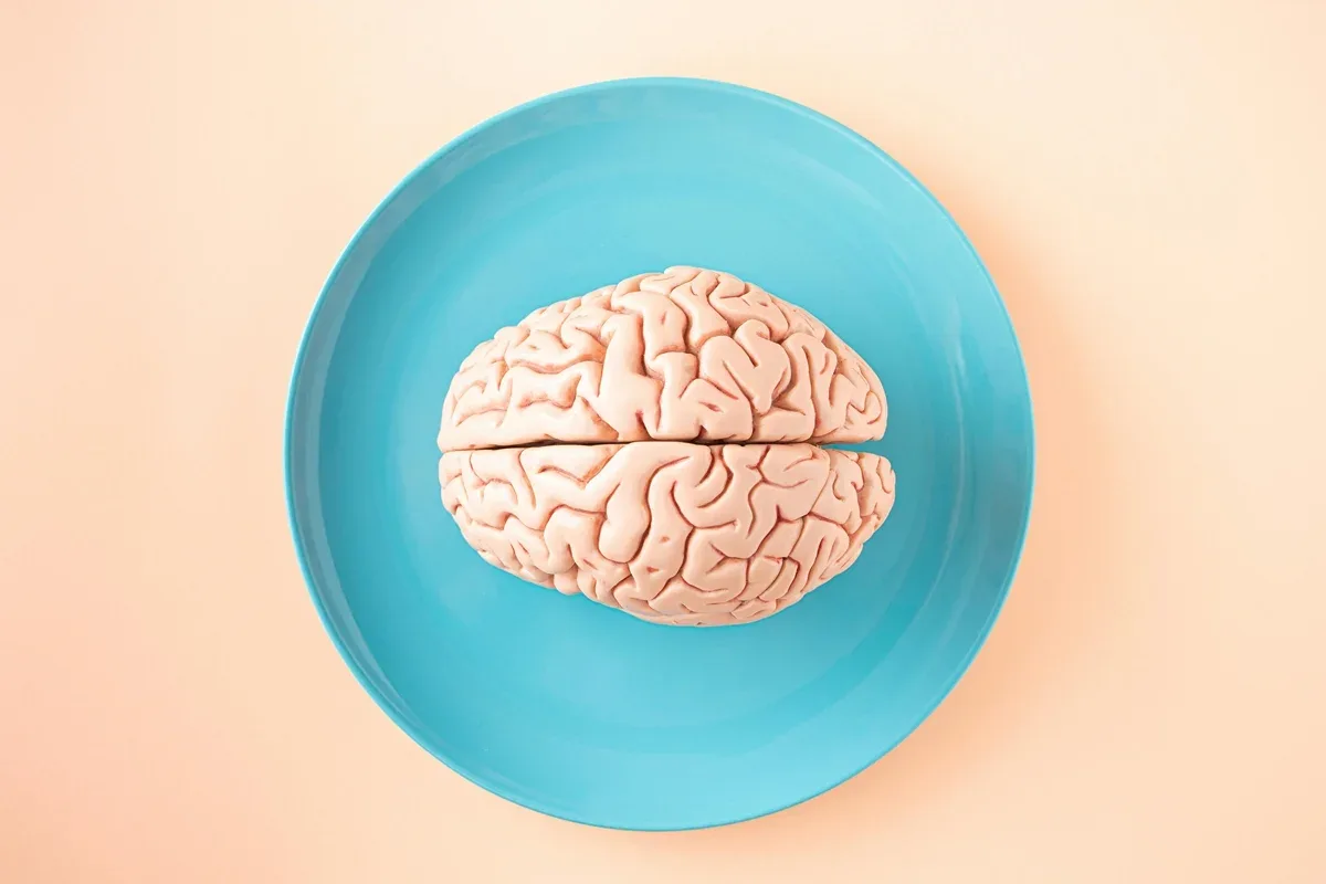 Hipótese liga percepção e movimento em um único ciclo cerebral