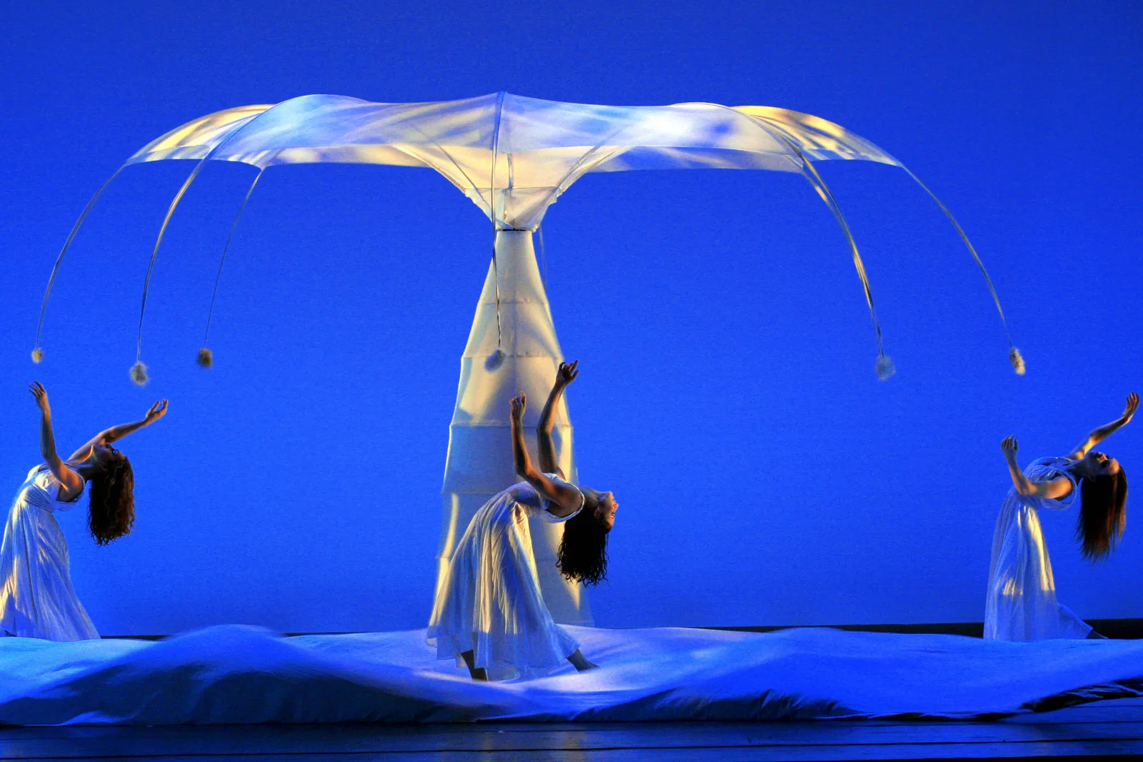 Momix leva “Botanica” a São Paulo com imagens projetadas e dez bailarinos