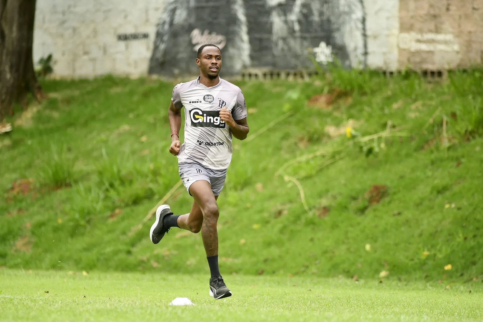 Ponte Preta avalia mudanças no setor defensivo antes de visitar o Sport