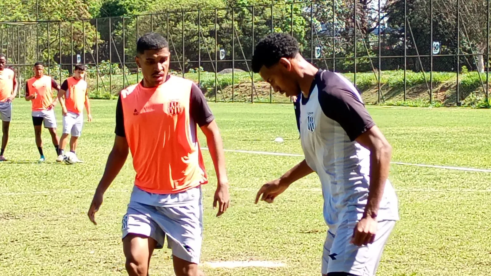Ponte Preta ganha opção para buscar segunda vitória seguida na Série B