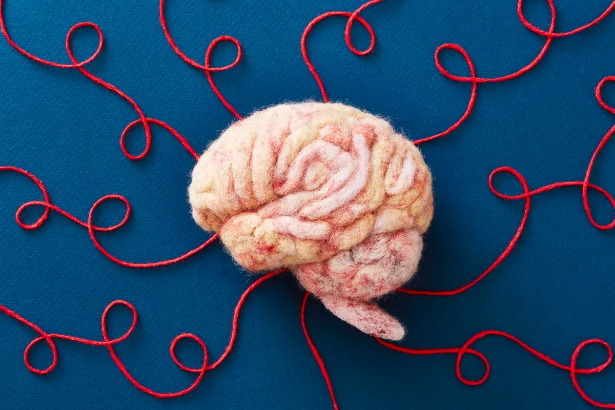 Simpósio em Brasília reúne saúde e educação para discutir neurodiversidade