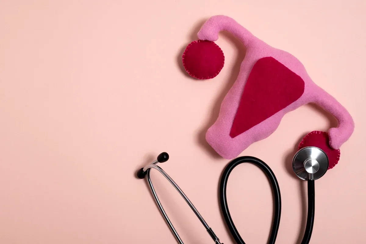 Atendimento ginecológico ainda ignora necessidades de mulheres lésbicas