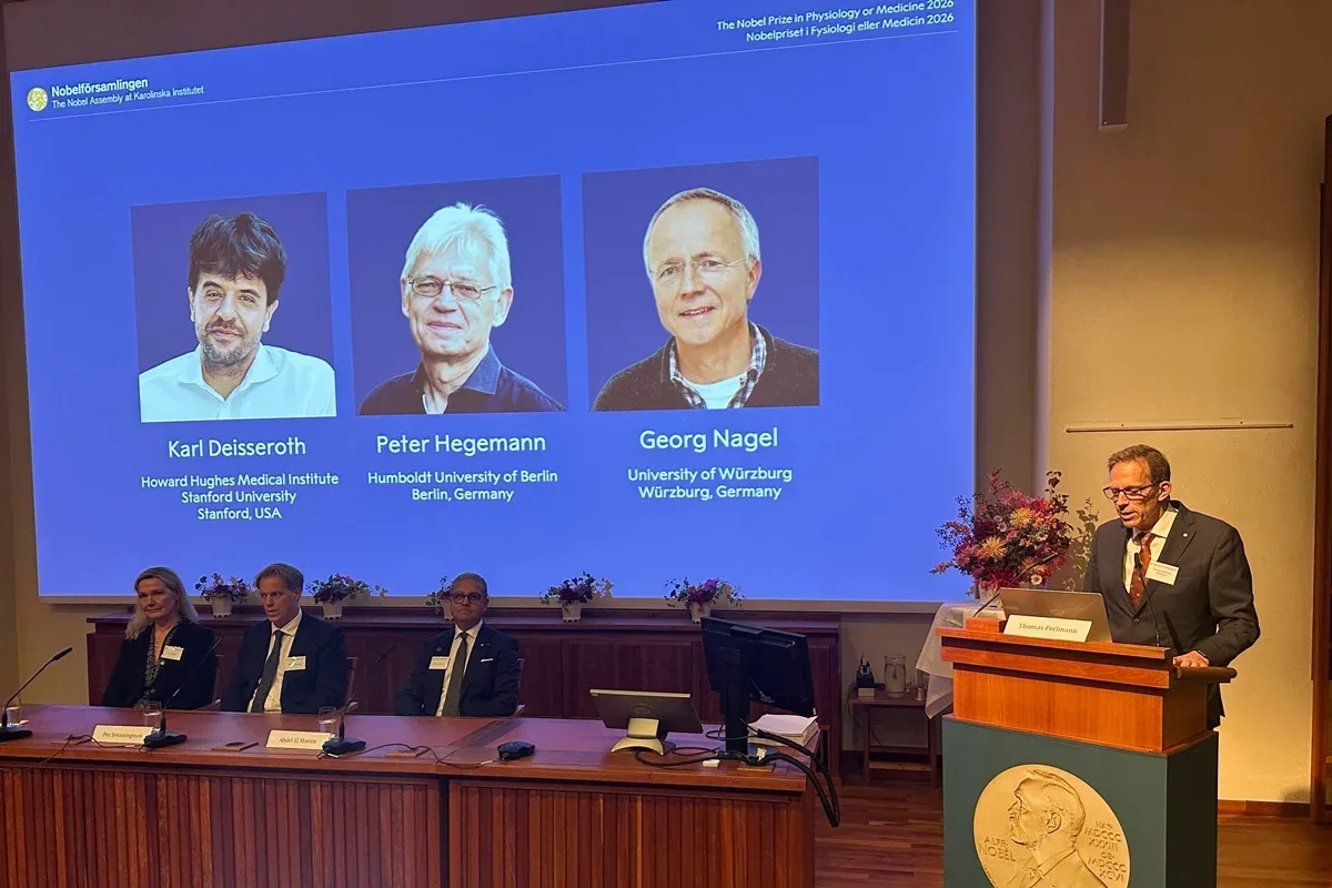 Optogenética rende Nobel por revelar circuitos do cérebro com luz