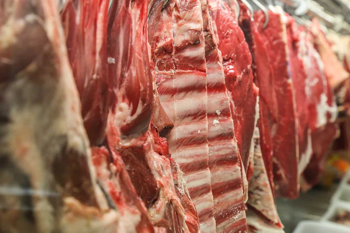 UE estima que carne bovina brasileira leve dois anos para voltar ao bloco