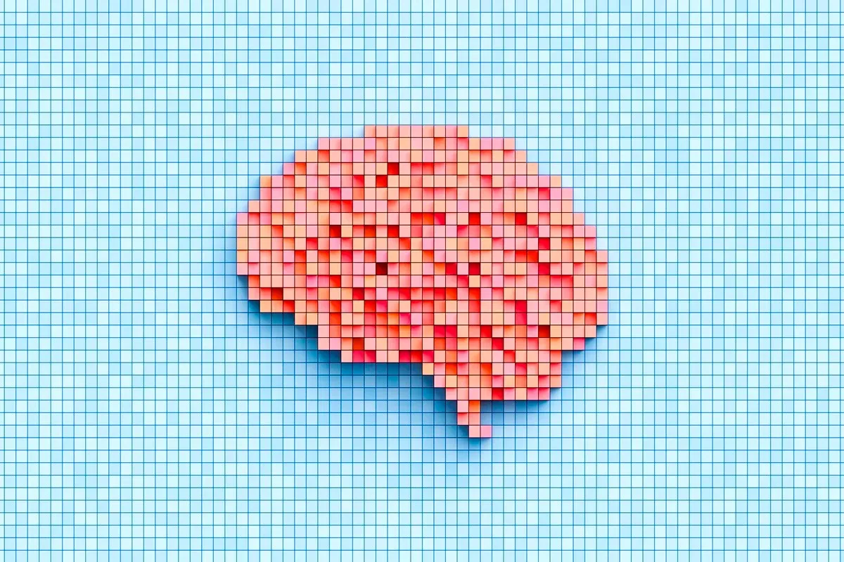 Estudo identifica como inflamação pode afetar cérebro fetal