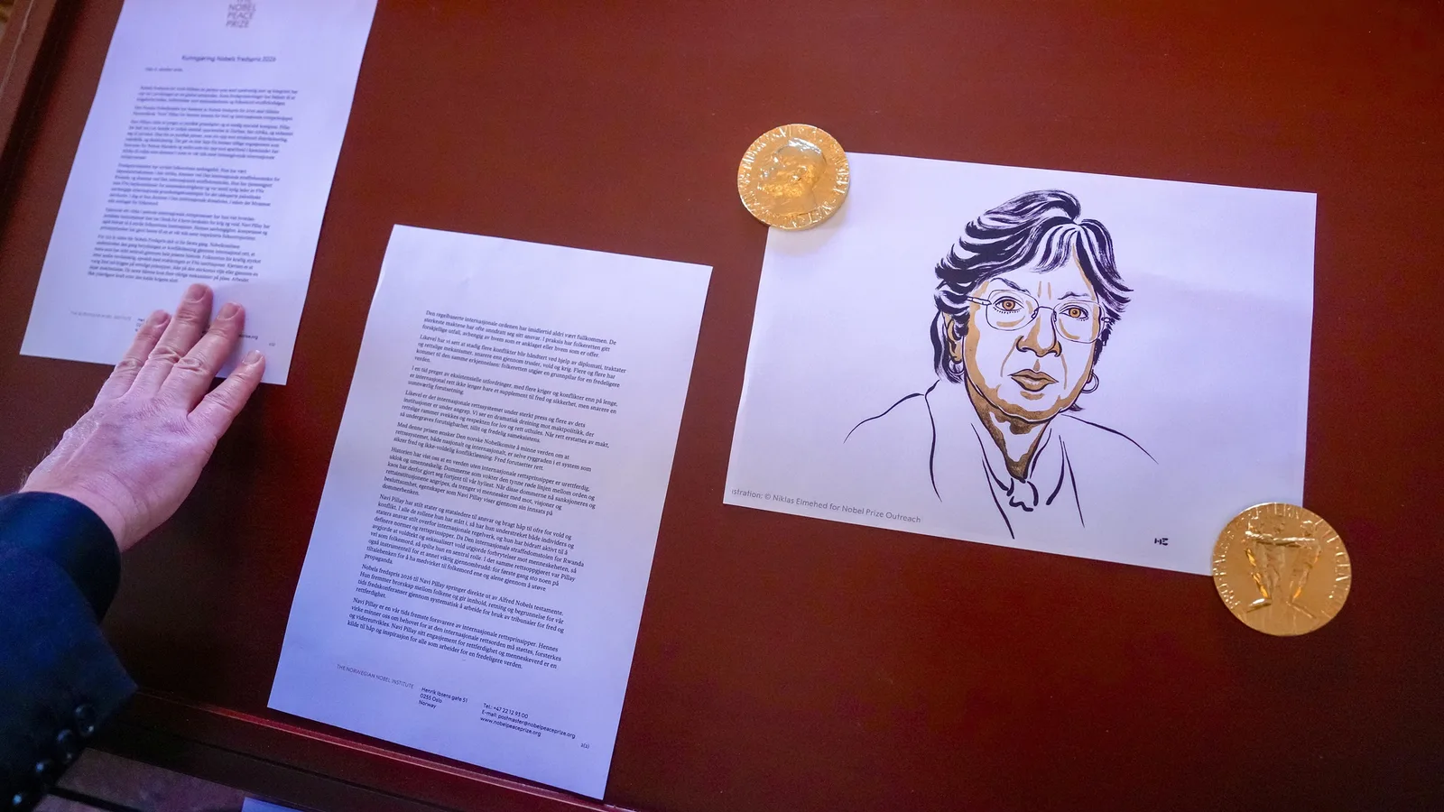 Israel rejeita Nobel da Paz concedido à jurista Navi Pillay