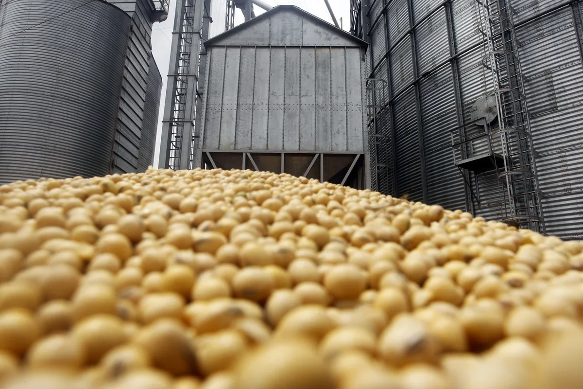 Cooperativas ampliam processamento de soja de olho no biodiesel