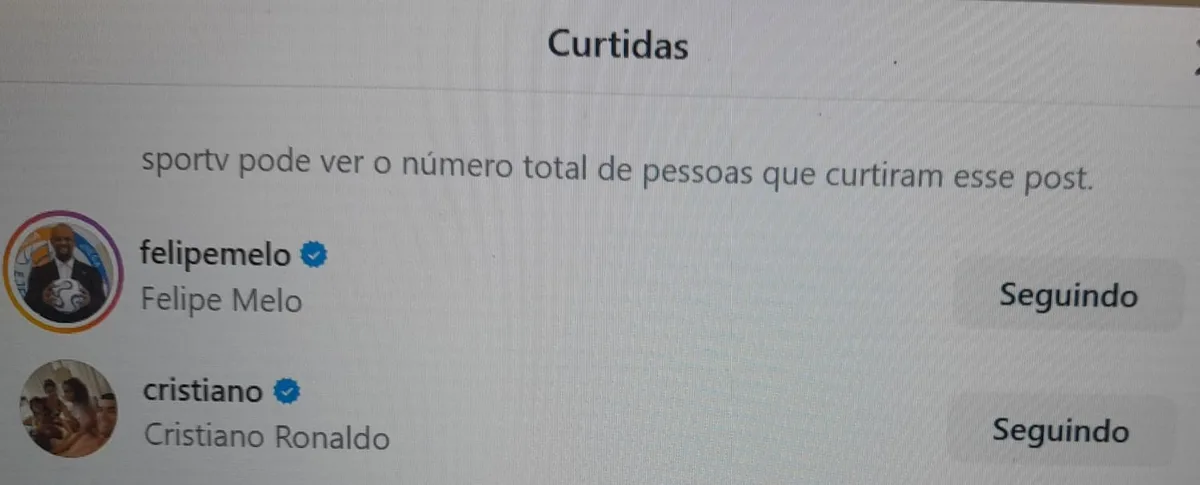 Curtida de Cristiano Ronaldo em defesa feita por Felipe Melo repercute na Europa