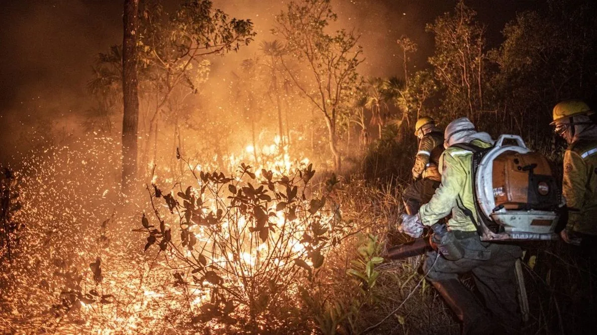 Amazonas registra 540 focos de incêndio em dois dias