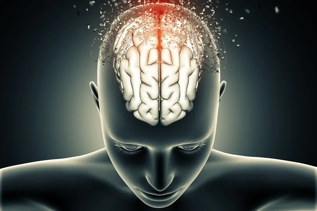 Células-tronco reproduzem neurônios de uma região do cérebro em estudo