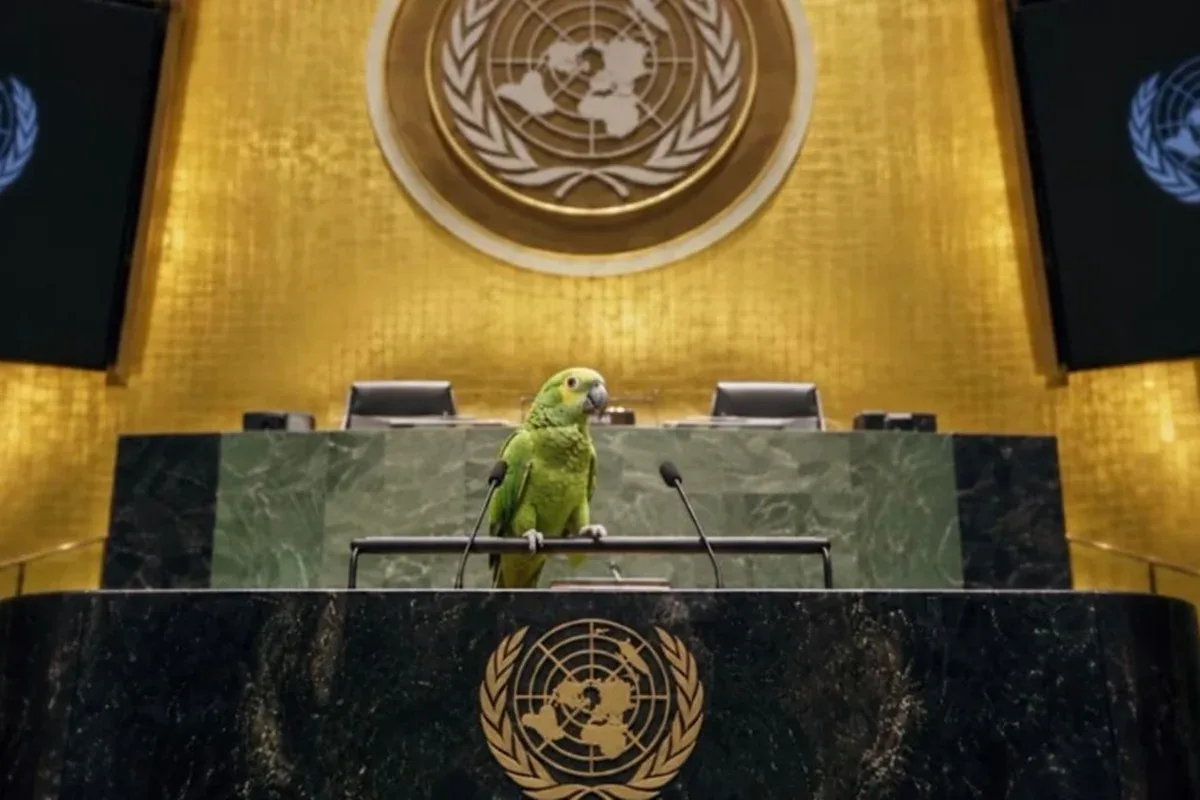Israel divulga vídeo com papagaios para atacar críticos antes de discurso na ONU