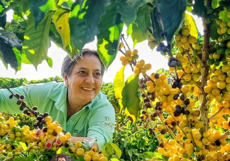 Recursos recuperados pela Cooxupé chegam a produtores e movimentam cadeia do café